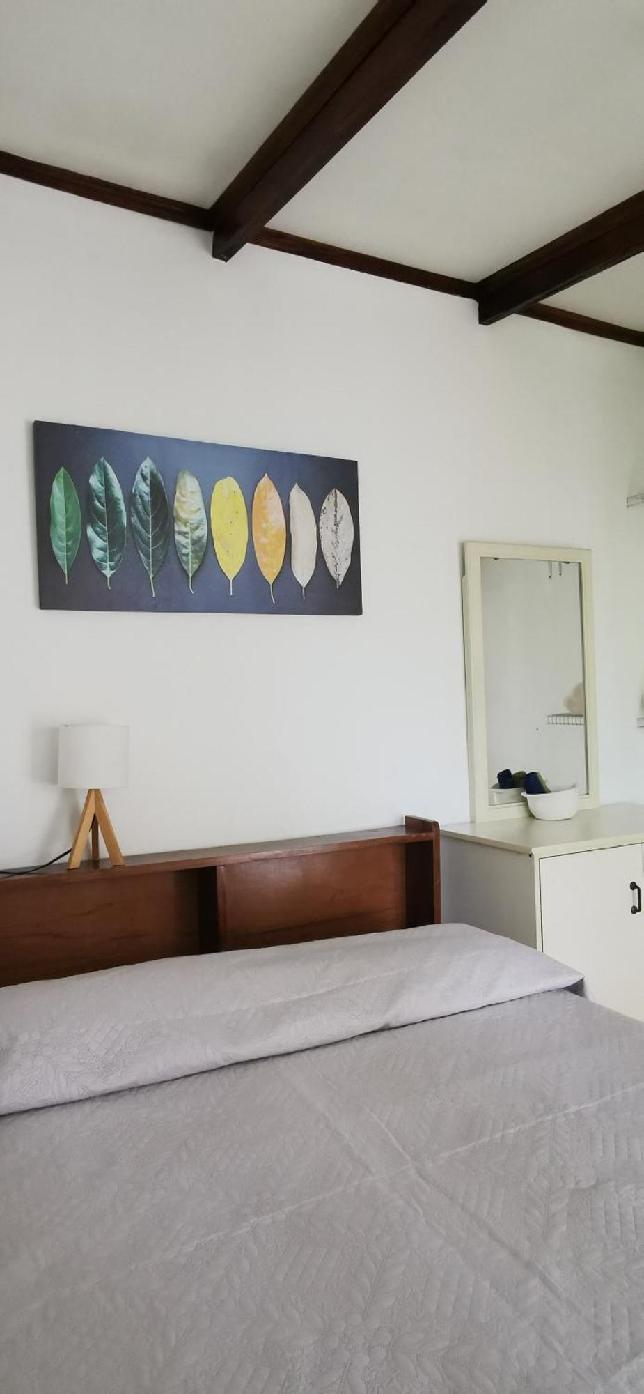 Casa Kibi Kibi Ξενοδοχείο Σαν Χοσέ Εξωτερικό φωτογραφία